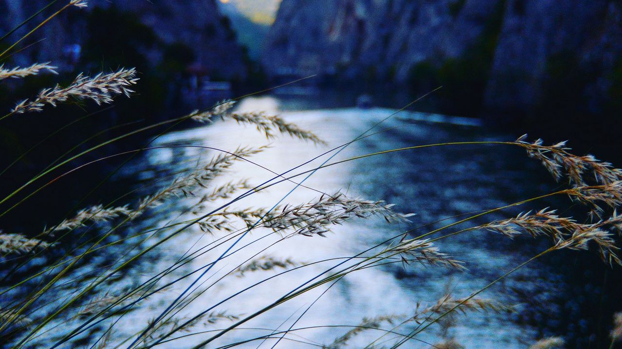 Wallpaper ear, river, mountains