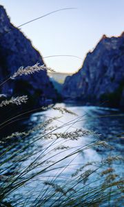 Preview wallpaper ear, river, mountains
