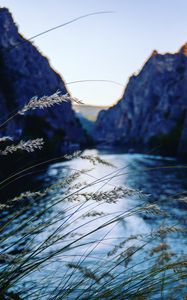 Preview wallpaper ear, river, mountains