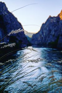Preview wallpaper ear, river, mountains