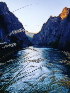 Preview wallpaper ear, river, mountains