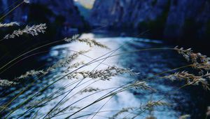 Preview wallpaper ear, river, mountains