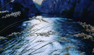 Preview wallpaper ear, river, mountains
