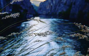 Preview wallpaper ear, river, mountains