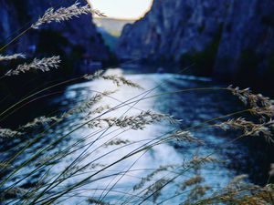 Preview wallpaper ear, river, mountains
