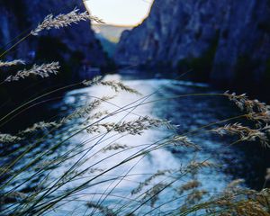 Preview wallpaper ear, river, mountains