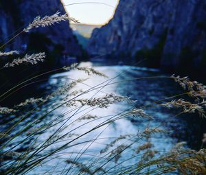 Preview wallpaper ear, river, mountains