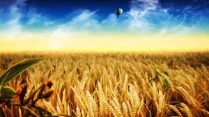 Preview wallpaper ears, air balloon, field, yellow, gold, autumn, crop, weeds