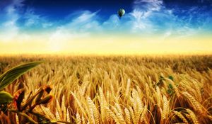 Preview wallpaper ears, air balloon, field, yellow, gold, autumn, crop, weeds