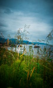 Preview wallpaper ears, grass, mountains