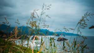 Preview wallpaper ears, grass, mountains