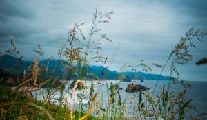 Preview wallpaper ears, grass, mountains