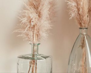 Preview wallpaper ears, stems, bouquet, herbarium, dry, light