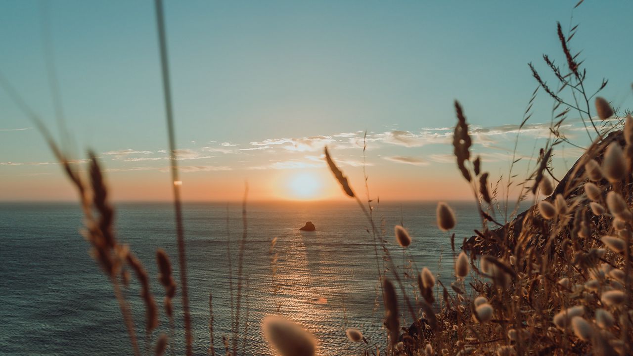 Wallpaper ears, sun, sea, horizon