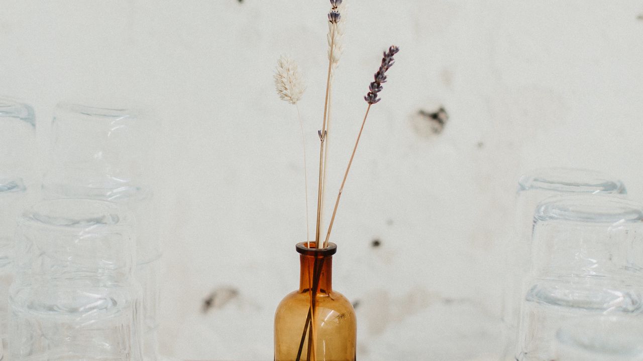 Wallpaper ears, vase, glass, white