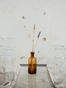 Preview wallpaper ears, vase, glass, white