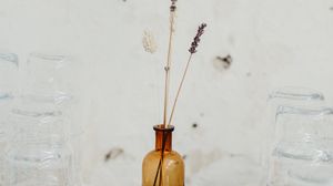 Preview wallpaper ears, vase, glass, white