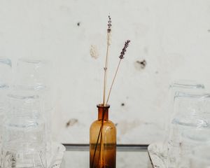 Preview wallpaper ears, vase, glass, white