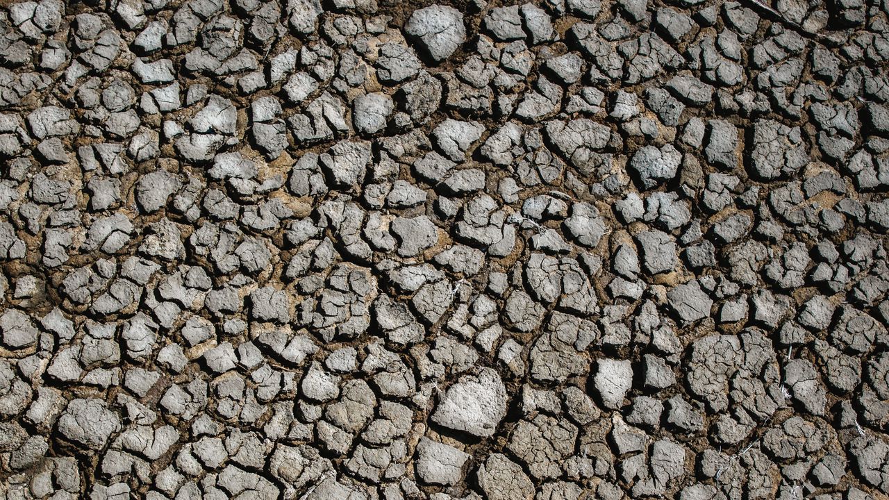 Wallpaper earth, dry, cranny, surface, drought