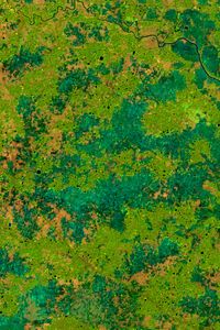 Preview wallpaper earth, spots, green, abstraction