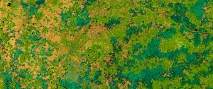 Preview wallpaper earth, spots, green, abstraction