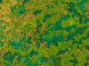 Preview wallpaper earth, spots, green, abstraction