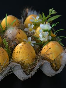 Preview wallpaper easter, easter eggs, eggs, ornaments, feathers, flowers