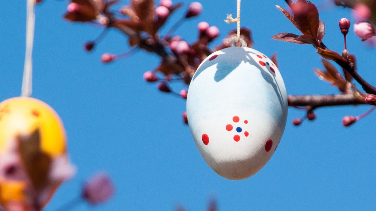 Wallpaper easter, egg, spring, holiday, decoration, branches