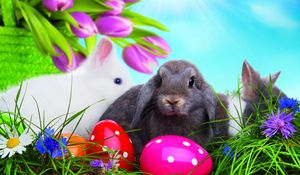 Preview wallpaper easter, eggs, colorful, rabbits, grass