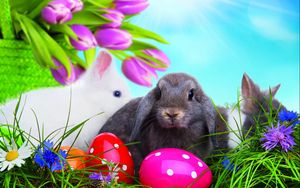Preview wallpaper easter, eggs, colorful, rabbits, grass