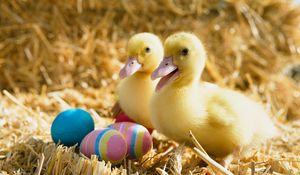 Preview wallpaper easter, eggs, ducklings, duck