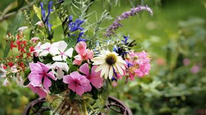 Preview wallpaper echinacea, balsams, flowers, bouquet, vase, stand, blurring