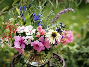 Preview wallpaper echinacea, balsams, flowers, bouquet, vase, stand, blurring