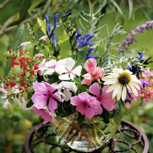 Preview wallpaper echinacea, balsams, flowers, bouquet, vase, stand, blurring