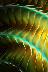 Preview wallpaper edges, lines, glow, abstraction
