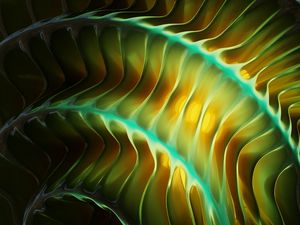 Preview wallpaper edges, lines, glow, abstraction