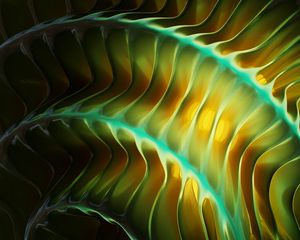 Preview wallpaper edges, lines, glow, abstraction