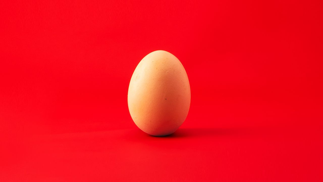 Wallpaper egg, chicken egg, red, minimalism