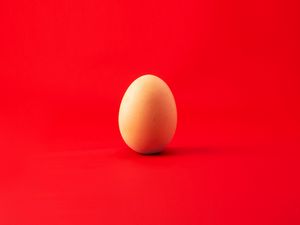 Preview wallpaper egg, chicken egg, red, minimalism