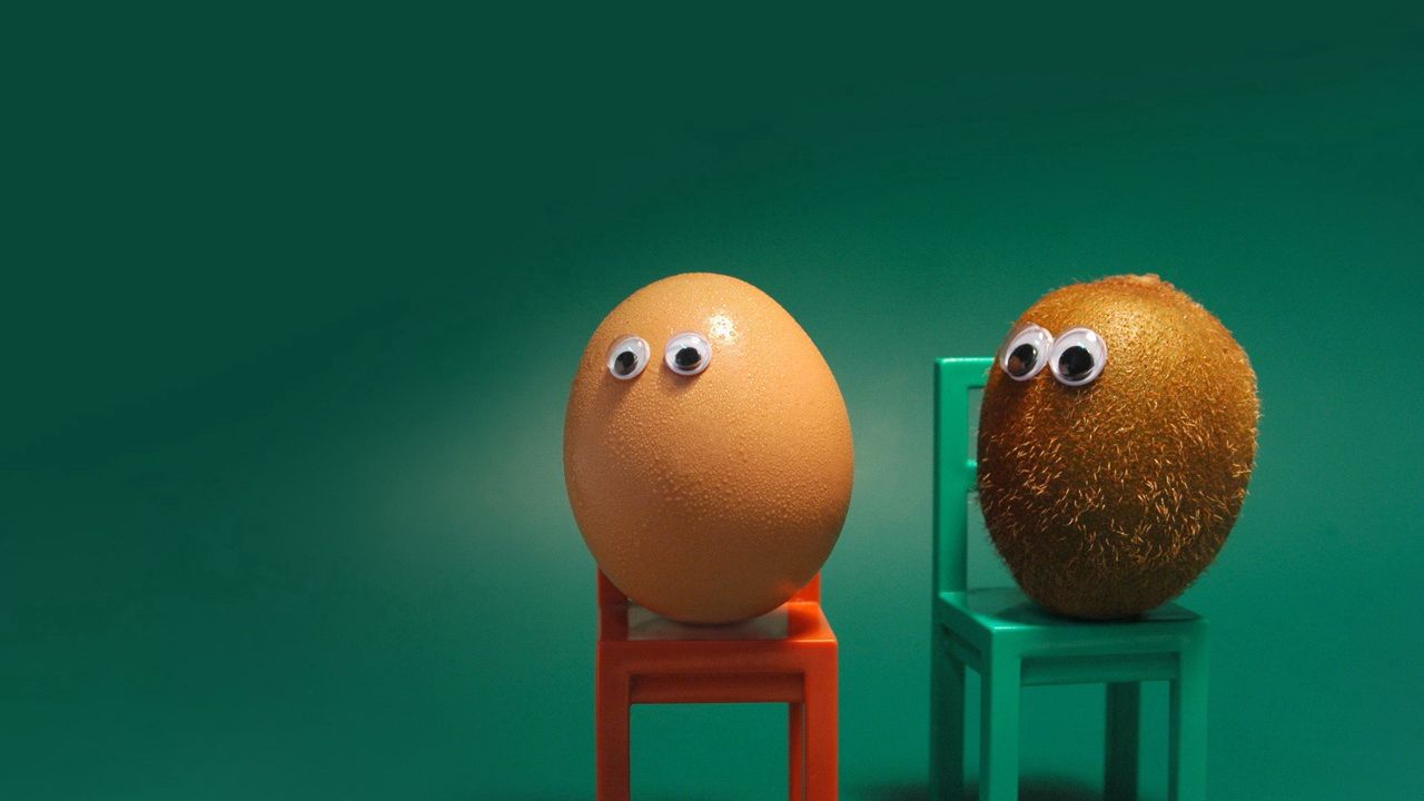 Wallpaper egg, kiwi fruit, eyes, chairs, funny, situation