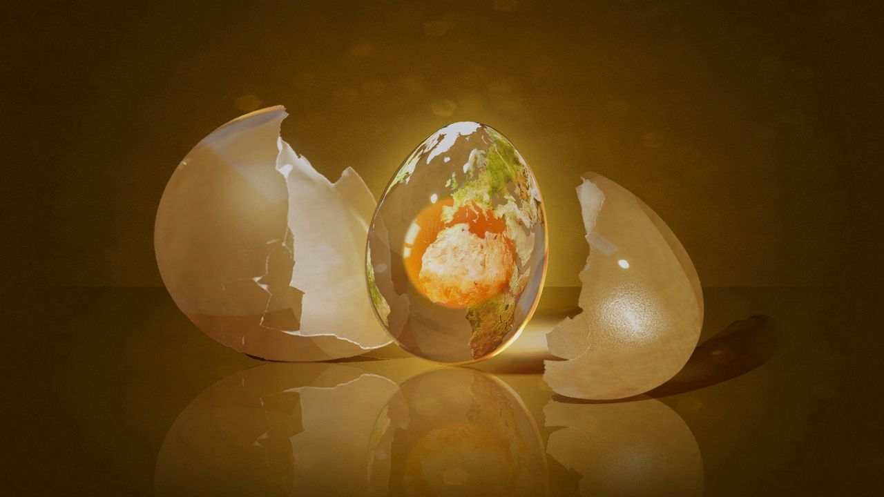 Wallpaper egg, shell, shape, light