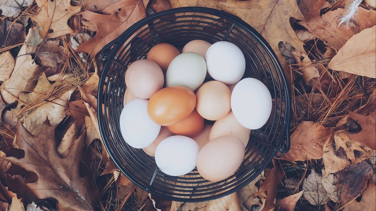 Wallpaper eggs, autumn, basket, foliage