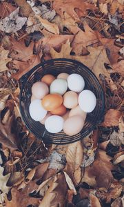 Preview wallpaper eggs, autumn, basket, foliage