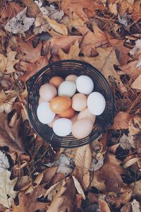 Preview wallpaper eggs, autumn, basket, foliage