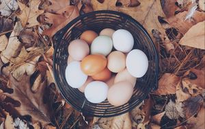 Preview wallpaper eggs, autumn, basket, foliage