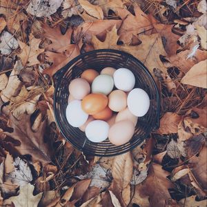 Preview wallpaper eggs, autumn, basket, foliage