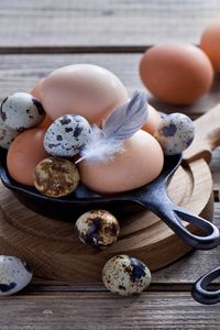 Preview wallpaper eggs, chicken eggs, quail eggs, feathers