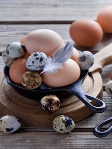 Preview wallpaper eggs, chicken eggs, quail eggs, feathers