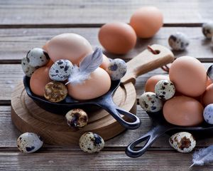 Preview wallpaper eggs, chicken eggs, quail eggs, feathers