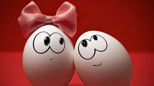 Preview wallpaper eggs, couple, bow, emotions